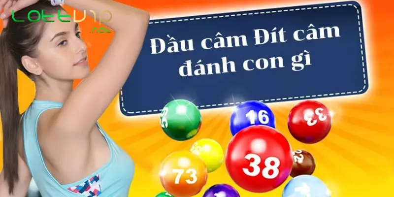 Lô Đầu Câm Đánh Con Gì Thì Giúp Bạn Tài Lộc Đầy Nhà? 2 Đầu lô câm là gì?